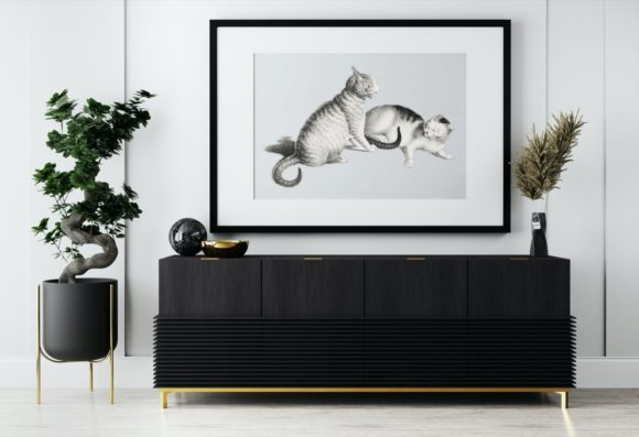 2 Cats Fighting Illustration