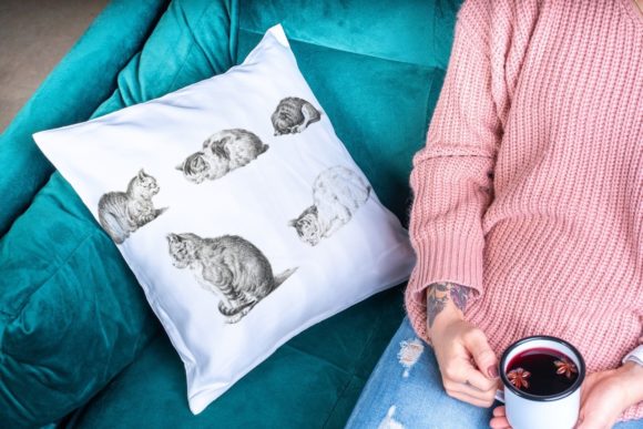 5 Beautiful Cats Illustration: A Versatile Design Resource for Creators and Businesses