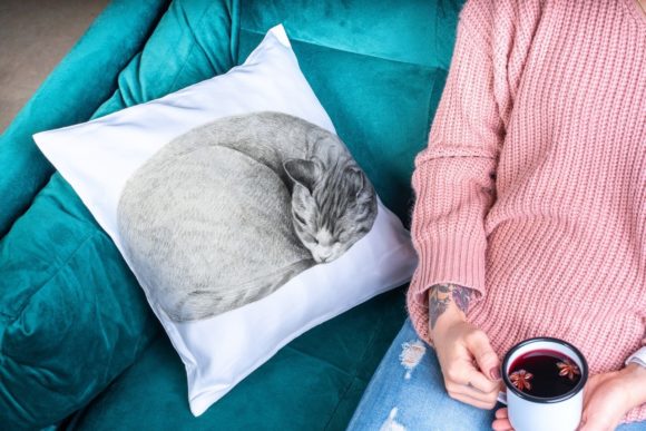 Cute Sleeping Cat Illustration: A Practical Asset for Designers, Educators, and Small Business Creators